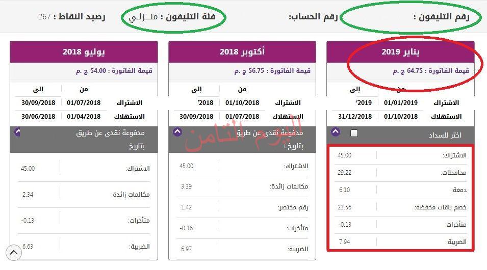 سداد فاتورة التليفون الأرضي 2019 “ربع سنوية” لكافة محافظات الجمهورية عن طريق رابط موقع المصرية للاتصالات billing.te.eg