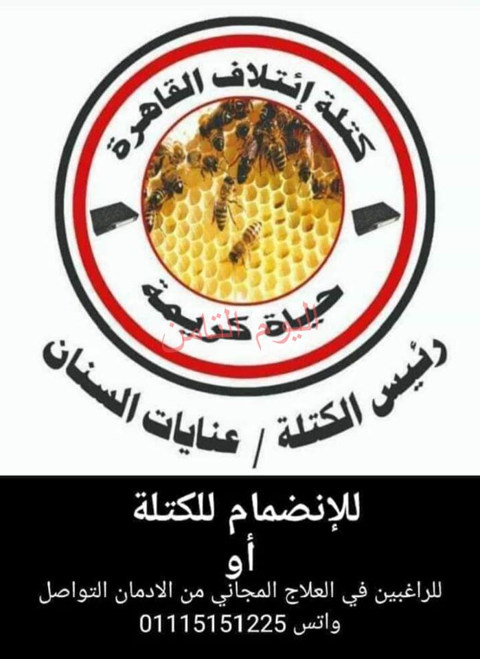 حب مصر أفعال علي ارض الواقع