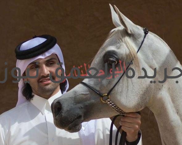أحمد عبدالله: مهرجانات الخيول وسيلة لجذب السياح