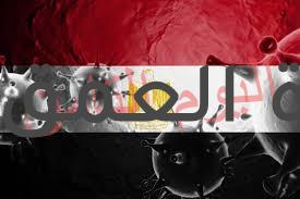 "زايد.. مصر خالية من "فيروس سي"