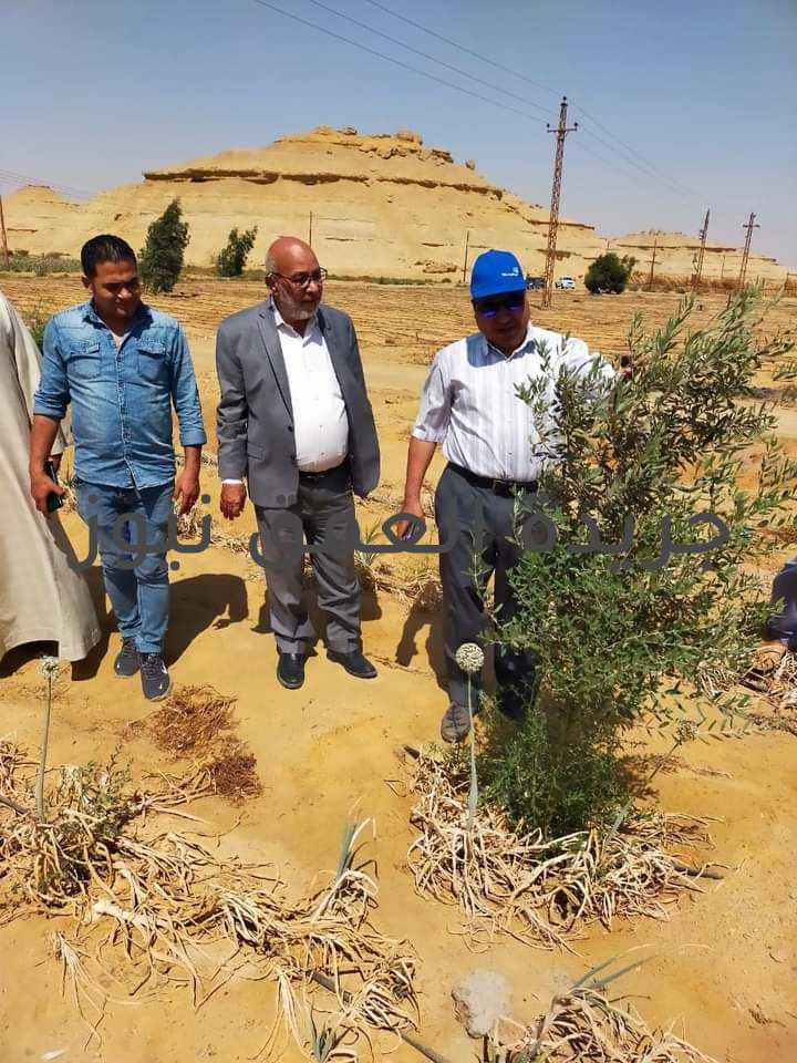 وكيل زراعة الفيوم ندوة إرشادية عن فوائد الري الحديث والزراعات التعاقدية الزيتية