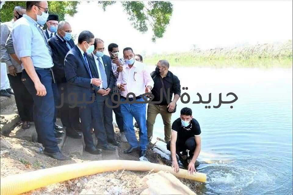 محافظ الغربية يشهد إلقاء ٤ مليون زريعة سمك في قناة طنطا الملاحية