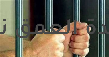فيديو تقديم الكفن فى عين شمس.. ما قصته؟