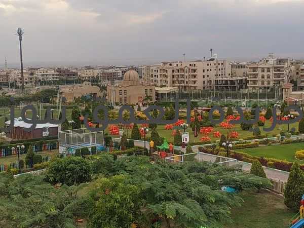 رئيس مجلس إدارة نادي جرين هيلز فى الشروق