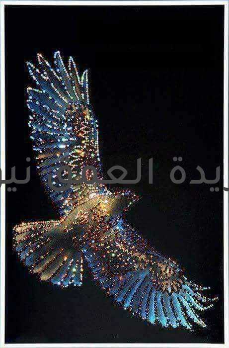 وراء الجفون نجوى عيون بقلم/ إكرام عمارة متابعة/ سامح الخطيب منذ رأيت اليتم يجرف أوراقي يسكن دمع القهر في الأحداق فبالأمس كان لي أب حرمت ضياه ؛ يثير أساه عبق ترسله زهرة المساء ؛ قد قُبِر وما اخترتُ الجدار فراق برغمي كأن الزمان للوداع كأس يجرعني عصف النوائب المترعة بالآهات أيبكيني الحٓجر، ويسخر من أحلامي البشر ولقيد اليُتم يُخضعني ؛ أين المفر؟ يارفاق جحيم القدر ، رفقا بأشواق لهفتنا ، بأوراق لوعتنا ففي واحة قلب الأمومة لبنوتنا حنانها ، وأقسم لو لم يكن شوقا ؛ لنهى عن قسوتها قلبها ياعطر الوصايا للشفيع يوم الزحام أما كان تشريفا لكم خير الأنام واعدا راعيكم عظيم الجنان وصُحبة مُعٓطّٓرة لحظاتها تلاقي ، وقُربها جنان كم من يتيم قٓدّٓ من لوعة الحزن جسرا يقتات من شهي الأمنيات كم من يتيم امتطى الرجاء يُبدد الصٓلْب يصرخ ؛ فيوجه الزمن لي فيك حُلم ؛ يُهادن القدر شاهرا لا للآهات ياممنْ جعل لهم في القلوب وجد يثور وفي العيون دمع يفور وفي الصدور خفقة قلب طهور.