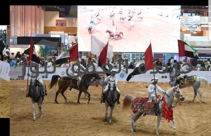 قفزة نوعية و عروض في فعاليات الخيل بمعرض أبوظبي الدولي للصيد والفروسية