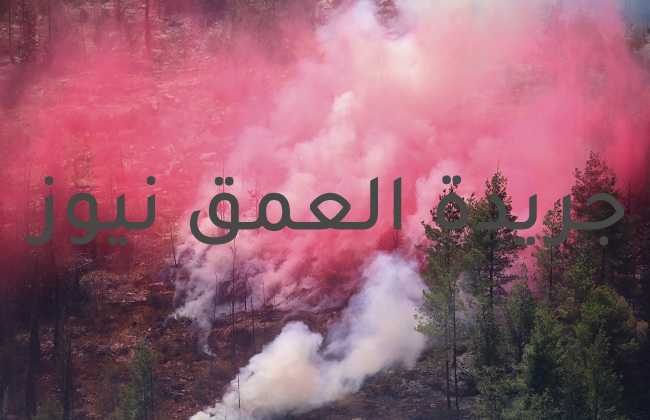 اندلاع حريق جديد في جبال القدس