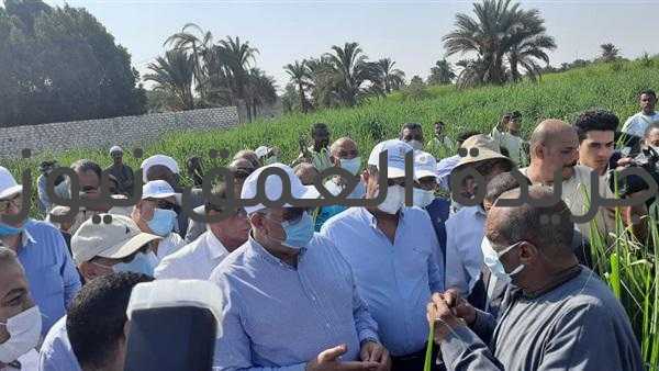 وزير الزراعة ومحافظ الأقصر يتفقدان حقل زراعة القصب بالشتلات والتنقيط