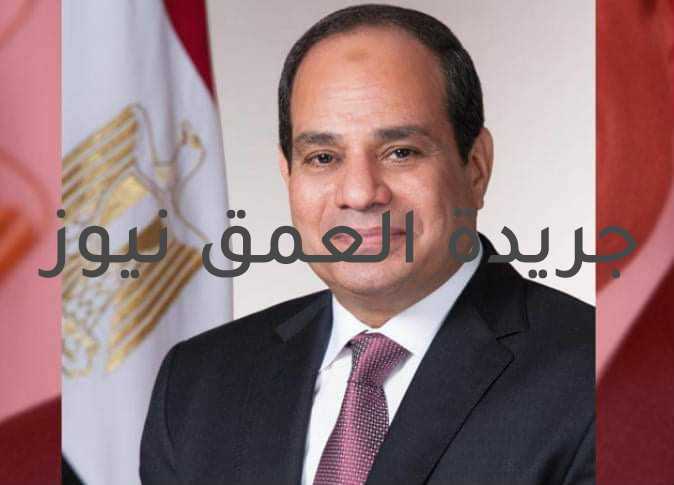 الرئيس السيسي يؤكد الثوابت الراسخة للسياسة المصرية بدعم العراق وتعظيم دوره العربى
