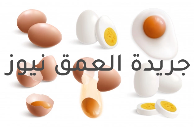 أفضل 3 أطعمة لمنع تساقط الشعر وجعله أقوى