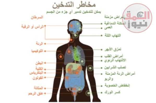 علماء الصحة يطالبون بعلانية الاجتماع التاسع لمؤتمر أطراف اتفاقية مكافحة التبغ