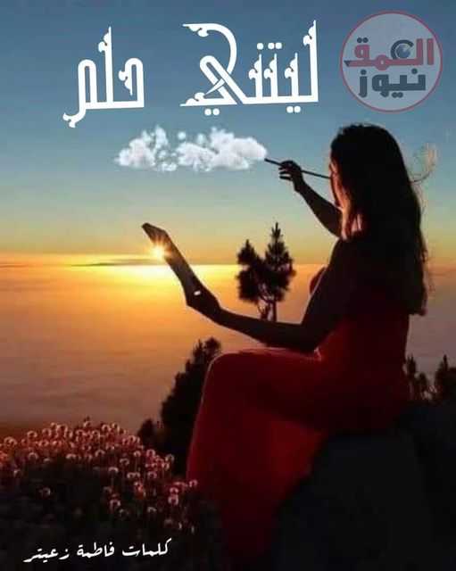 ليتني حلم