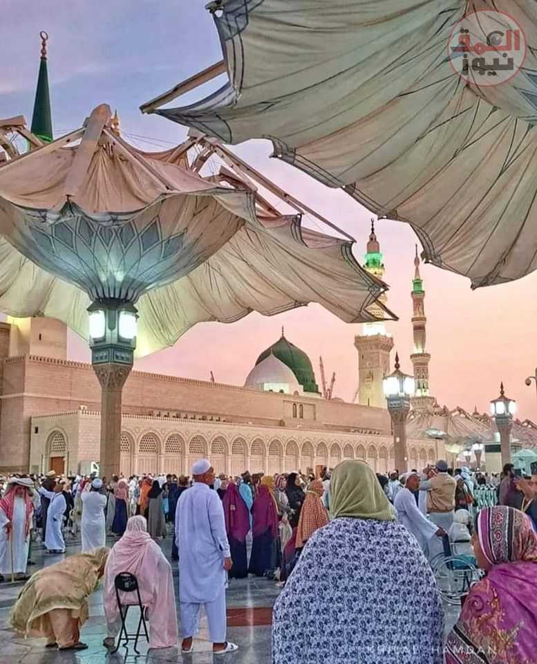أشـدد رحـالك العمق نيوز