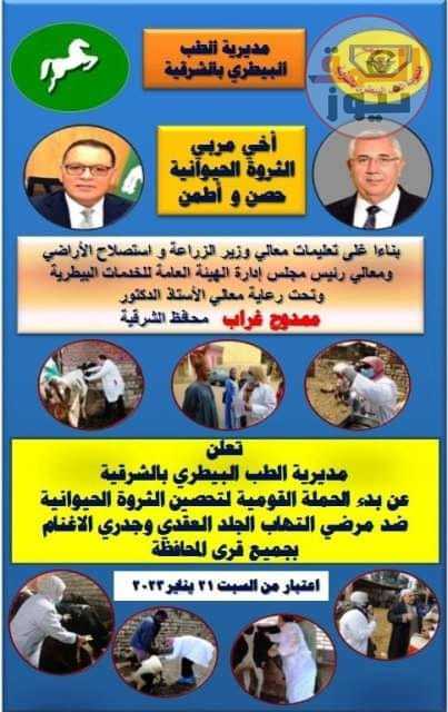 إنطلاق الحملة القومية لتحصين الماشية بالشرقية