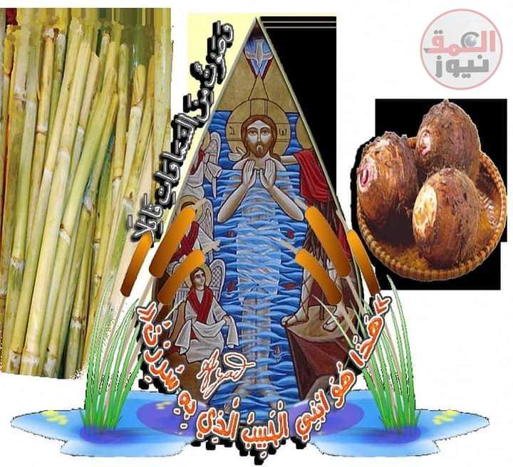 لماذا ياكل الاقباط القصب والقلقاس والبرتقال في عيد الغطاس ؟؟