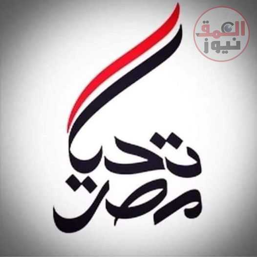 سحر عدلى تكتب / مصر بقيادة الرئيس السيسى فى صون الأمن القومى العربى
