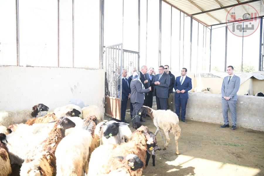 وزير التنمية المحلية ومحافظ قنا يتفقدان مشروعات الأمن الغذائى بمنطقة المعنا