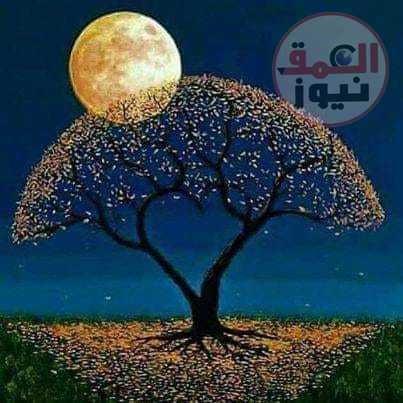 إذ ..ربما بقلم الشاعرة / رويدا المحمدي متابعة المستشار الإعلامي / سامح الخطيب إذ...ربما