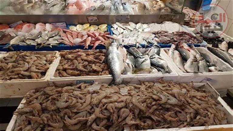 انخفاض البلطي والبوري.. أسعار السمك اليوم الأربعاء