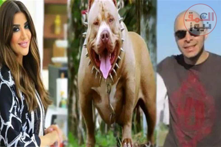 بعد حادث كلب الإعلامية أميرة شنب.. عقوبة وشروط حيازة الحيوانات الخطرة في مصر