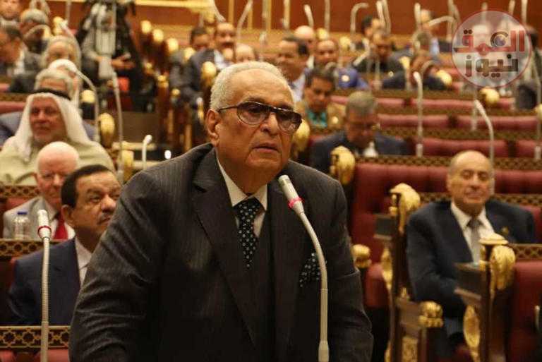 وكيل «الشيوخ» يطالب بتحصيل رسوم من المصريين بالخارج: «الدولة علمتهم وربتهم»