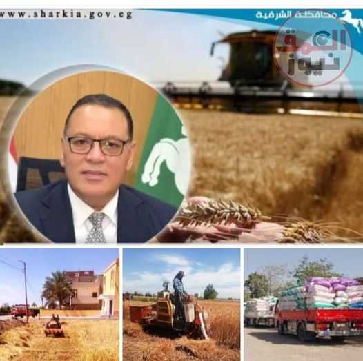 محافظ الشرقية يشهد إفتتاح موسم حصاد محصول القمح بأحد الحقول الزراعية بقرية صفيطه بمركز الزقازيق