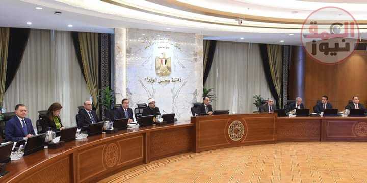 مجلس الوزراء يحدد سعر ضمان لتوريد القطن لهذا العام