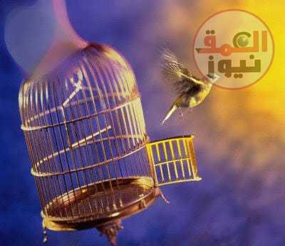 من الحياة النجاح بعد الأربعين