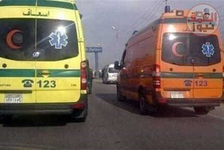 مصرع ربة منزل وإصابة ابنتها صدمتهما سيارة في الفيوم