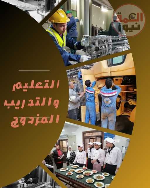 التعليم والتدريب المزدوج: قصة نجاح وتطوير مستمر