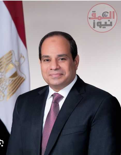 عمرو السمدوني: زيارة السيسي لتركيا بداية صفحة جديدة من العلاقات الاقتصادية بين البلدين