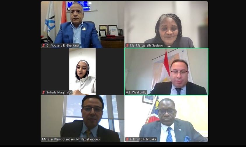 جمعية رجال الأعمال المصريين الأفارقة تدفع بفرص التعاون مع نامبيا في مؤتمر افتراضي.